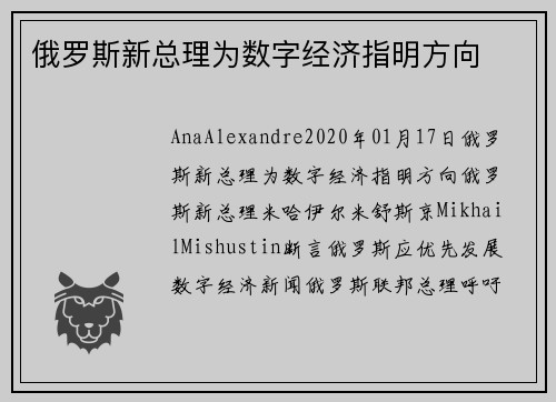 俄罗斯新总理为数字经济指明方向 